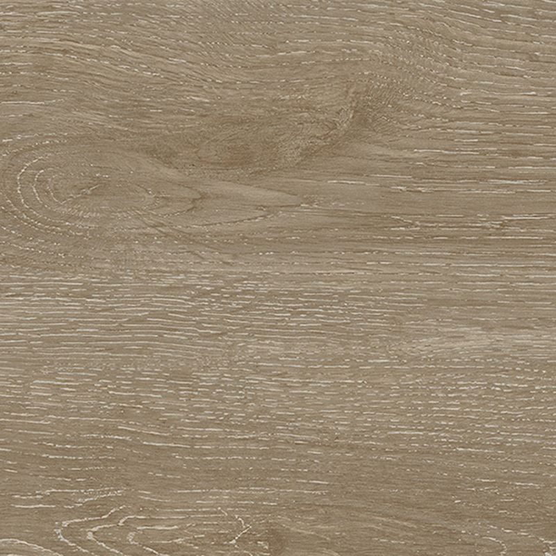 Cypreswydden Beige- Teilsen Borslen Grawn Pren Beige